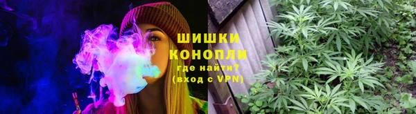 PSILOCYBIN Алзамай