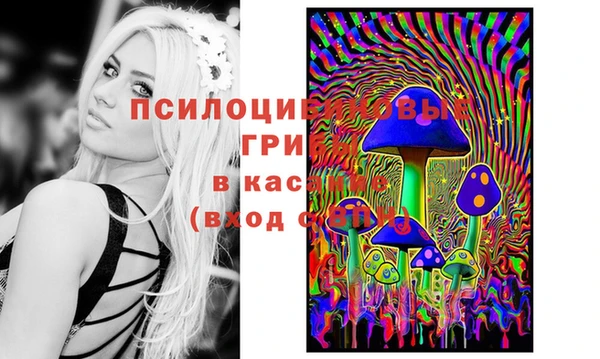молекула духа Абдулино