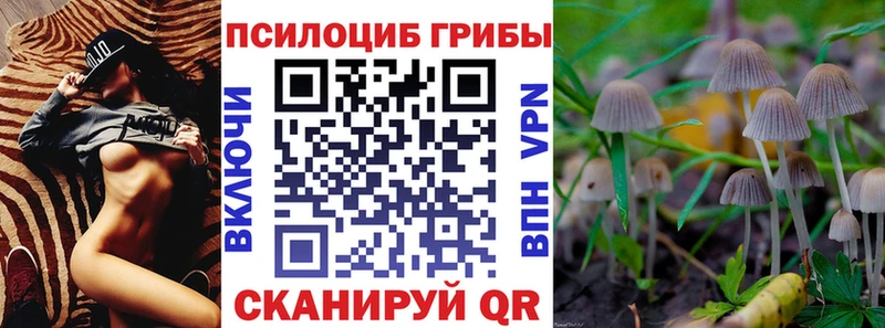 Галлюциногенные грибы Magic Shrooms  закладки  Сухиничи 